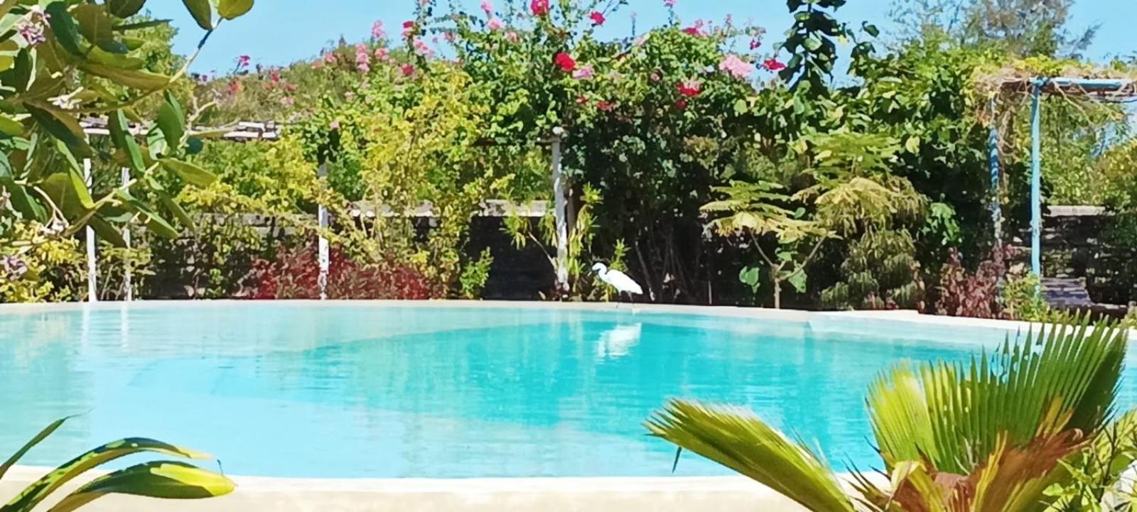 Matemwe Ocean View Villas エクステリア 写真