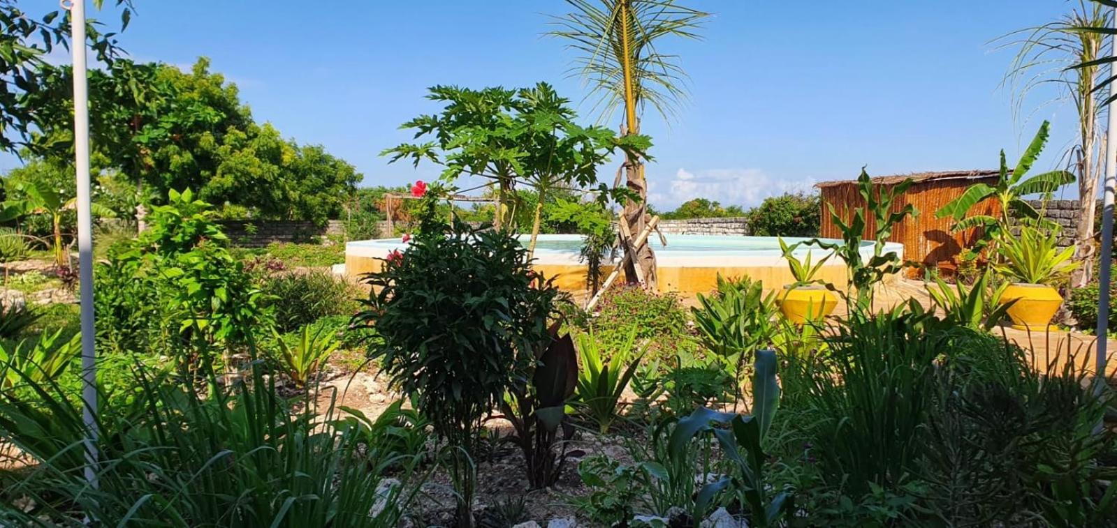 Matemwe Ocean View Villas エクステリア 写真